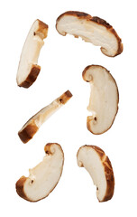 Multiple pieces of sliced shiitake mushrooms arranged on a white background, perfect for food, cooking, or vegetarian meal visuals