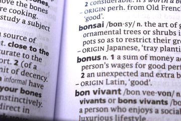 Close Up Of English Dictionary Page With Word - Bonus