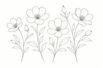 Line drawing of flowers.