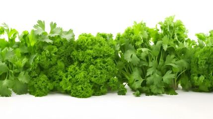 Obraz premium Veggie Delight