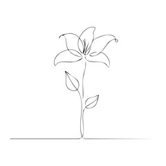 Single Flower Drawing - Minimalist line art of a lily flower with transparent style