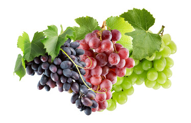 three bunches of grapes, isolated on transparent background