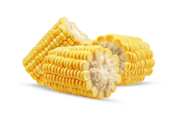 fresh corn on the cob, isolated on transparent background.