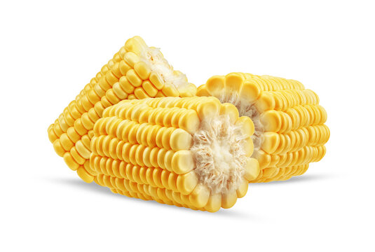 fresh corn on the cob, isolated on transparent background.