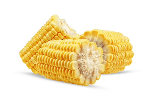 fresh corn on the cob, isolated on transparent background. - Powered by Adobe