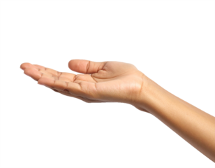 Hand palm open offering gesture skin arm fingers on transparent background