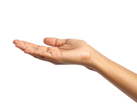 Hand palm open offering gesture skin arm fingers on transparent background