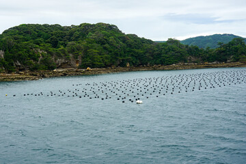 Fishing nets and equipment in the water off the coast of an island in the Saikai National Park's Kujukushima Islands, also called the 99 Islands, near Sasebo, Japan