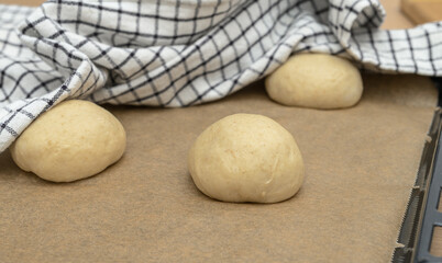 Homemade bread, rolls rise on yeast in a warm place, covered with a cloth