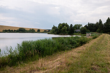 Calm pond in Vrbov, Slovakia with grass, reeds, and overflow structure. Quiet rural summer scenery for fishing and relaxation.