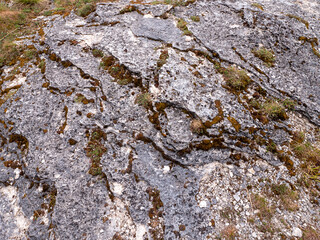 Moss growing on cracked limestone rock in Slovakia. Natural rocky surface with dry texture and blurred countryside in background.