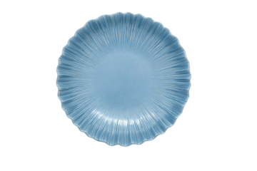 a blue plate with a white background