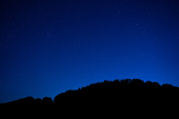 Starry night sky above forest 