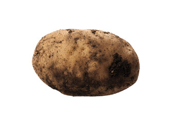 a potato with a brown substance on it
