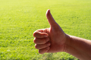 Thumbs up hand gesture with green grass in background