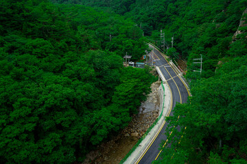 Road through the forest of the Silmari Valley near the Korean DMZ, seen from atop the Gamaksan Suspension Bridge, known as the Gloucester Heroes Bridge