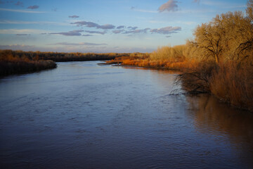 Rio Grande River flowing through the Albuquerque bosque at sunset