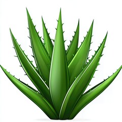 Obraz premium Vibrant Green Aloe Vera Plant Isolated on White
