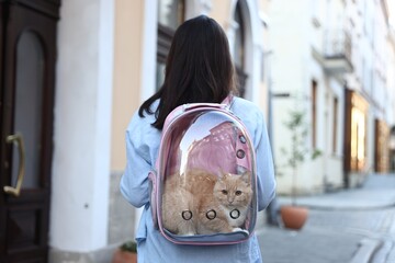 Woman with her cute cat in backpack carrier on city street, back view
