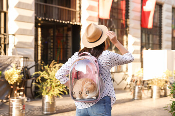 Woman with her cute cat in backpack carrier on city street, back view