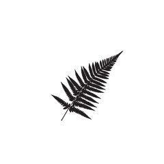 Fern Leaf Silhouette on White Background – Vector Illustration for Symbolic Resilience, Nature-Inspired Elegance, and Forest Serenity Concepts