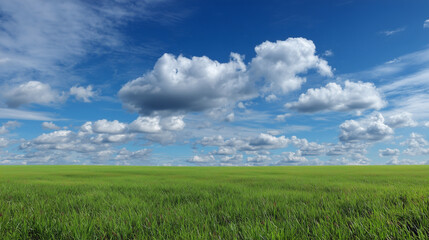 Obraz premium Lush Green Field Under Bright Blue Sky with Fluffy White Clouds in the Background