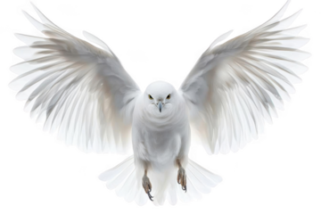 White Bird flies in the sky with Grace And Beauty in concept Theme