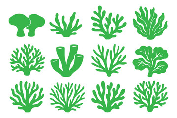 Coral silhouettes, seaweed black icon. Abstract organic corals shape, underwater plant, sea doodle. Cartoon marine floral isolated set  
