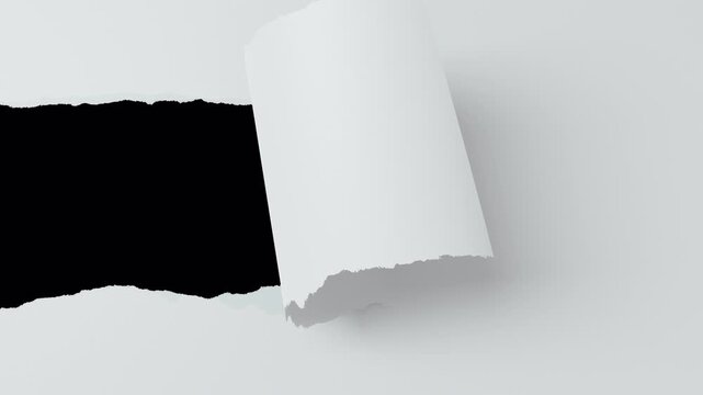 破れる白い紙　アルファチャンネル付き　カメラワークあり