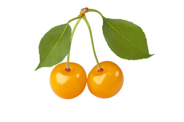 two cherries with leaves on a white background