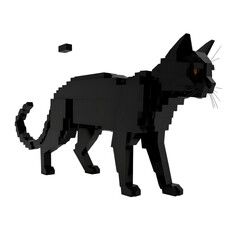 there is a black cat that is standing in the dark
