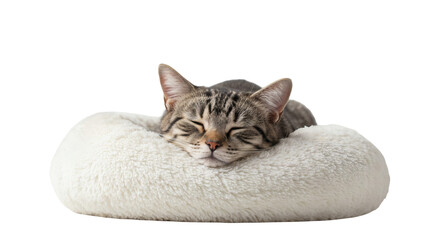A tabby cat rests peacefully in a soft, white cushion.