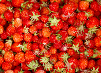 A close up of a bunch of red strawberries