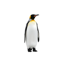 Fototapeta premium King penguin standing proudly isolated on transparent background