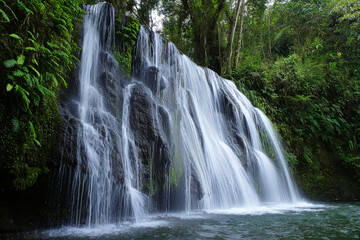 Fototapeta premium Serene Waterfall Cascading Over Mossy Rocks in Lush Tropical Rainforest; Tranquil Nature Scene