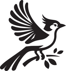 Vector of Blue jay bird, black and white design.