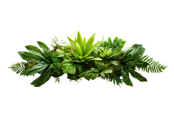 Fototapeta premium Lush green plant arrangement indoor space botanical decor relaxed view. Isolated on transparent background, png.