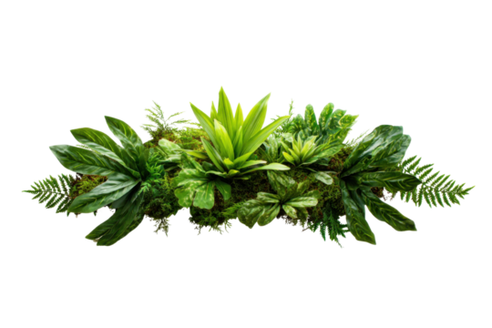 Lush green plant arrangement indoor space botanical decor relaxed view. Isolated on transparent background, png. - Powered by Adobe