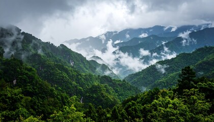 Naklejka premium Lush mountain range shrouded in mist