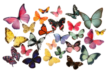 Colorful butterfly collection displayed in natural environment. Isolated on transparent background, png.