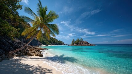 Tropical beach paradise (1)