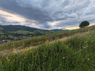 Panoramic view of the beautiful Carpathian Mountains, Zakarpattia Oblast, Ukraine. Idyllic natural scenery, ideal for showcasing the region's untouched beauty.