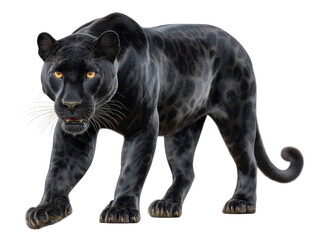 Naklejka premium Regal Black Panther Stride: A striking black panther strides confidently, exuding an aura of power and majesty with intense gaze. 