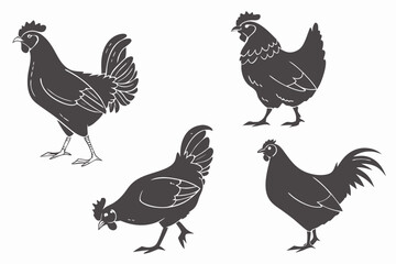 Chicken Silhouette Collection – Classic Poultry Outlines
