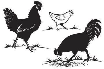 Chicken Silhouette Pack – Standing, Pecking, Walking Poses
