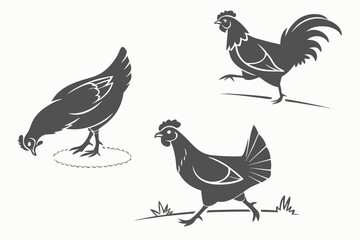 Fototapeta premium Minimalist Chicken Silhouettes – Poultry Pose Pack 