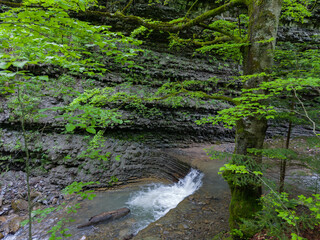 Obraz premium Mountain stream with small waterfall in riverbed with layered rocks
