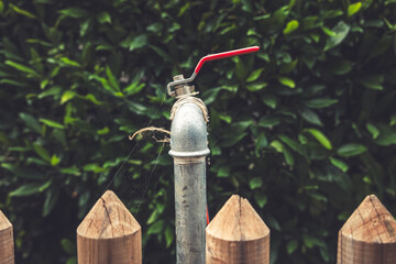Vintage water pipe with a bright red valve stands against a lush green hedge in a tranquil backyard...