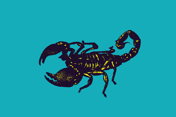 Scorpion silhouette. Graphic of isolated element on background. Poisonous insect. Vector illustration.