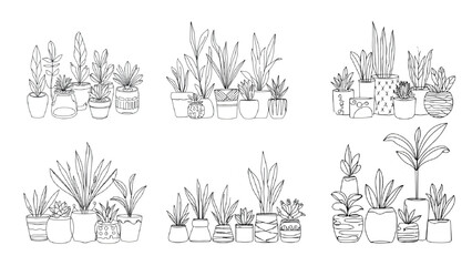 Fototapeta premium Houseplants in Decorative Pots Vector Set